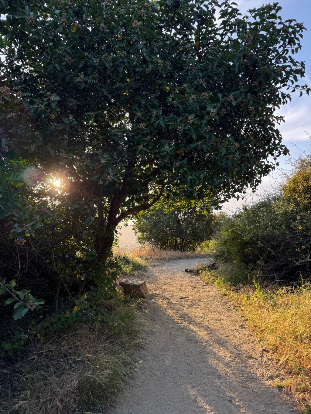 To Know You, Again and&nbsp;Again